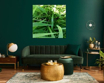 Tor by Kasper Radema