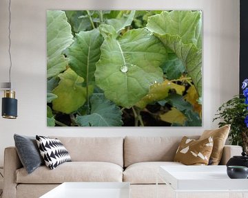 Dit is de druppel by Kasper Radema