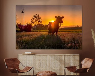 Rode koeien in Maassluis tijdens zonsondergang van Nathan Okkerse