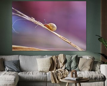 New life... by V. Susebeek