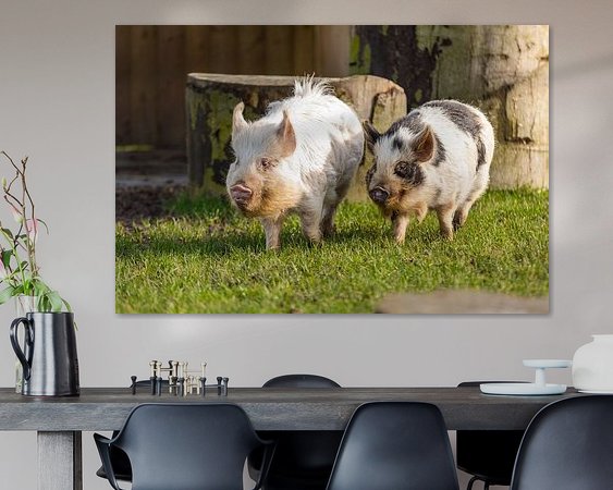 Aperçu de la chambre