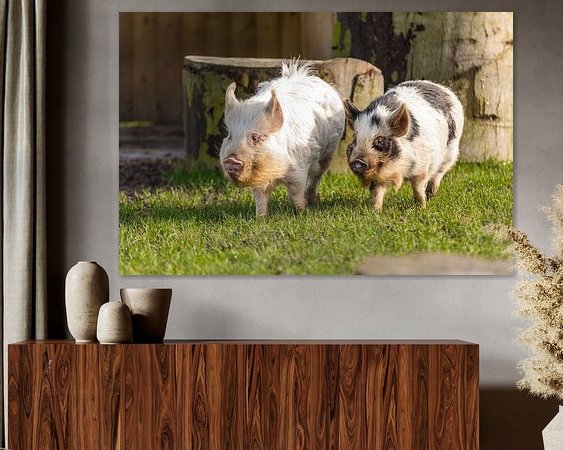 Aperçu de la chambre