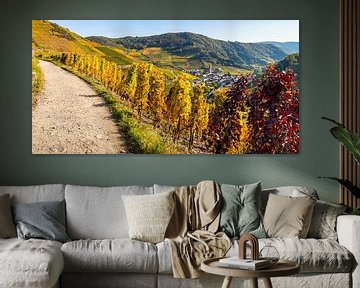 Vineyards in autumn, Mayschoss, Ahrtal van Walter G. Allgöwer