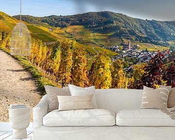 Vineyards in autumn, Mayschoss, Ahrtal by Walter G. Allgöwer
