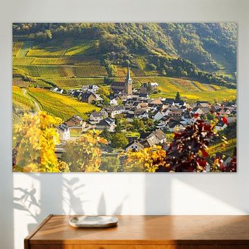 Vineyards in autumn, Mayschoss, Ahrtal