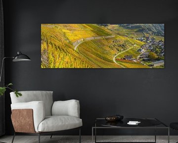 Vineyards in autumn, Mayschoss, Ahrtal by Walter G. Allgöwer