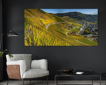  Vineyards in the autumn, Mayschoss, Ahrtal van Walter G. Allgöwer