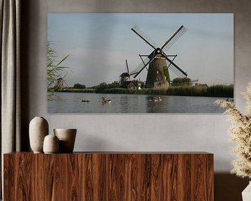 Ganzen in Kinderdijk van Jolanda Wisselo