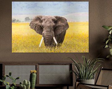 WANDBILDER XXL BILDER Afrika Elefant VLIES LEINWAND BILD KUNSTDRUCK 00125P 