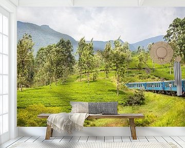 Sri Lanka Blue Train by Leon van der Velden