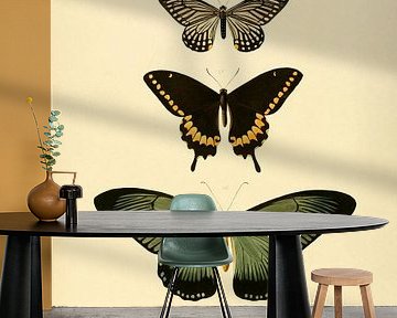 Vintage vlinder illustratie 