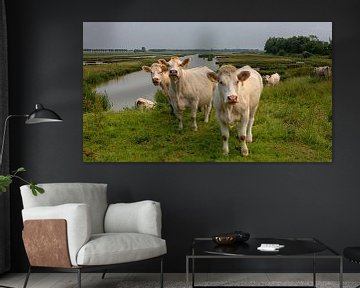 Koeien in een natuurgebied by Bram van Broekhoven