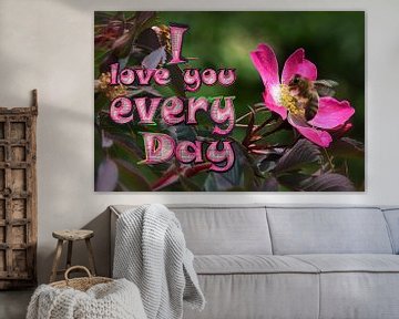 I love you every day van Christine Nöhmeier