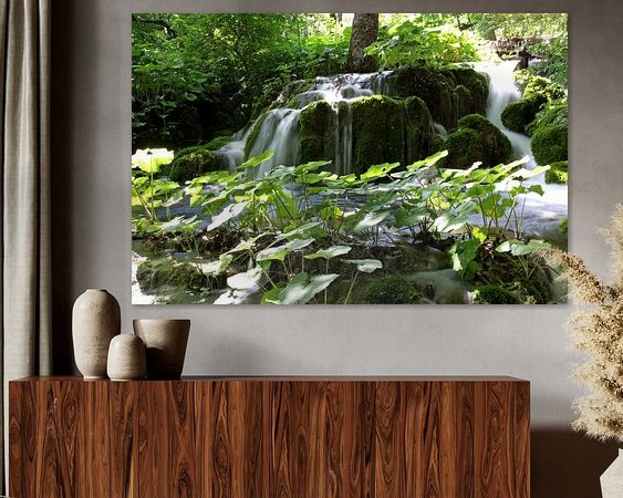 Aperçu de la chambre