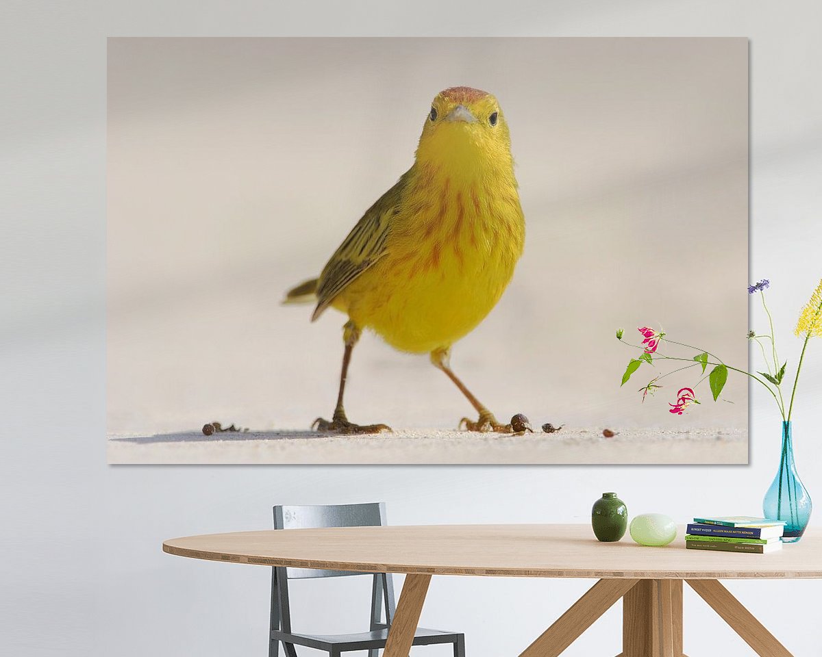 Raumvorschau