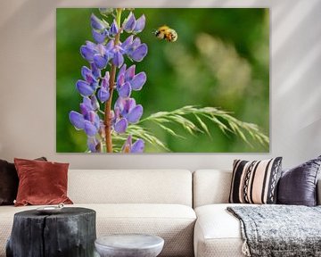 fleur violette avec abeille volante pleine de pollen sur Mieke Verkennis