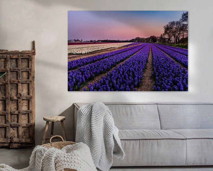 Sfeerimpressie: Hyacinth fields in Noordwijk at Springtime! van Carla Matthee