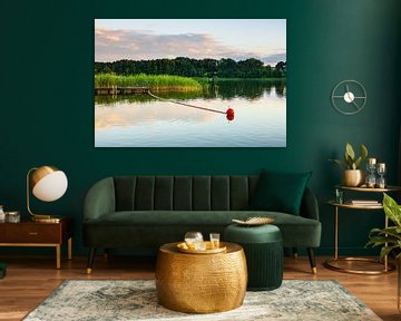 Landscape on a lake with buoy