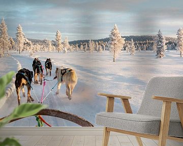 Mit dem Schlitten durch den Schnee