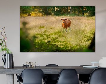 Dutch cow van Sabine Bartels
