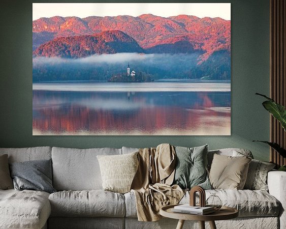 Aperçu de la chambre