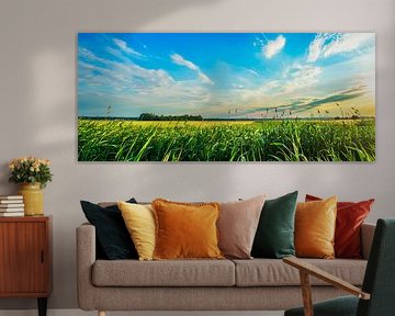 Landschap 3