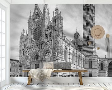 Italy in square black and white, Duomo di Siena by Teun Ruijters