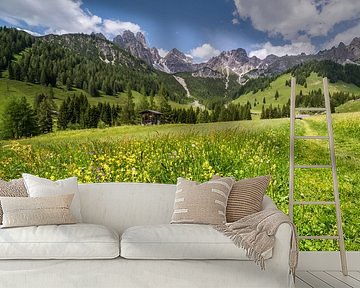 Spring in the Alps by Coen Weesjes