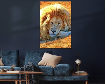 Löwen Portrait digiart