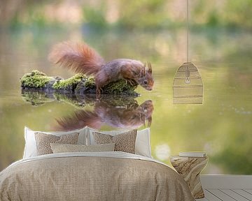 Eichhörnchen mit Reflexion