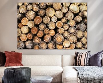 Holzstapel von Baumstämmen von Jessica Berendsen