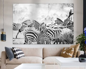 Zebras in Serengeti Tansania von Leon van der Velden