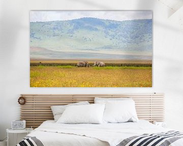 Elephants in Ngorongoro krater, Tanzania by Leon van der Velden