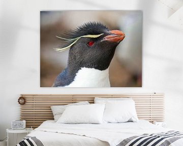 Rockhopper pinguin by Remco van Kampen
