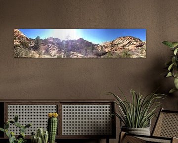 Zion National Park, CA, USA van Dennis Kok