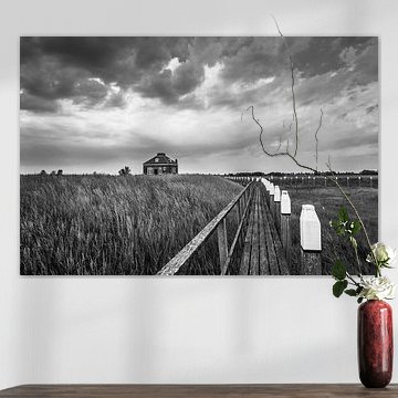 Alten Hafen und Nebelhornhaus - Schokland