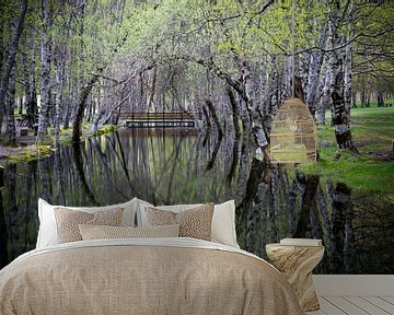 Cirkelvormige weerspiegeling van bomen in het water. van Adri Vollenhouw