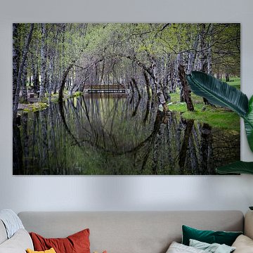 Kreisreflexion von Bäumen im Wasser.