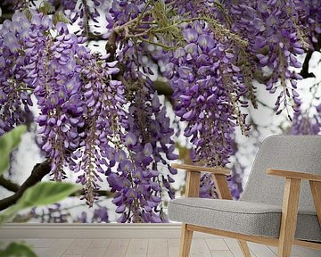 De Koninklijke Serres von marijke servaes