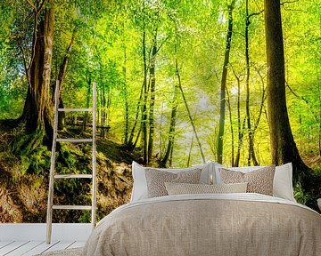 Beautiful forest by Günter Albers