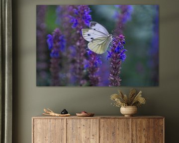 Feeling blue ( witte vlinder tussen paars/blauwe bloemen) van Birgitte Bergman