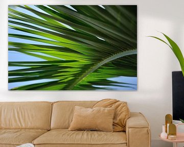Palmblad