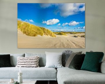 Landscape with dunes on the North Sea island Amrum, Germany sur Rico Ködder