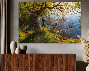 Landscape with tree on a lake van Rico Ködder