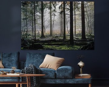Mistig bos Spanderswoud, Hilversum, Noord Holland, Nederland van Martin Stevens