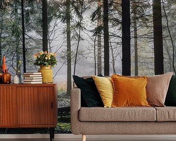 Mistig bos Spanderswoud, Hilversum, Noord Holland, Nederland