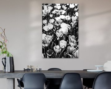 Zwart-wit tulpen van Norbert Sülzner