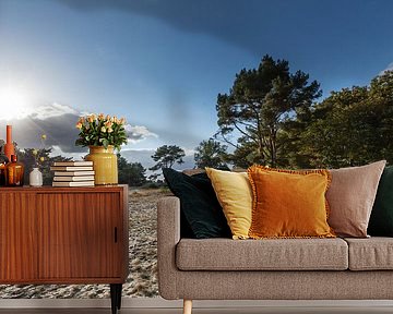 Hoorneboegse heide bij Hilversum, Noord Holland, Nederland