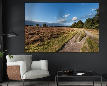 Heathland with sandy path and threatening air by Martin Stevens