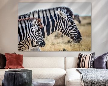 Atemberaubende Zebras auf afrikanischen Ebenen von Original Mostert Photography